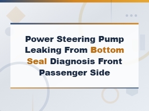 Power Steering Pump Bottom Seal Leak on Passenger Side: Diagnosis and Repair Guide