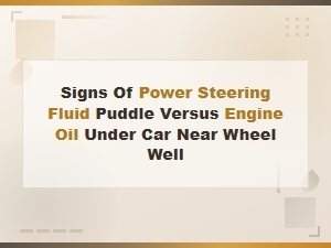 Signs of Power Steering Fluid Puddle Versus Engine Oil Under Car Near Wheel Well