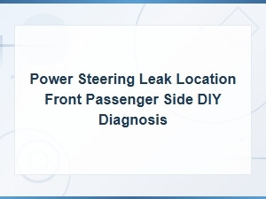 Power Steering Leak Front Passenger Side Diy Diagnosis Guide