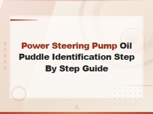 Step-By-Step Diy Guide: Identify Power Steering Pump Oil Puddles