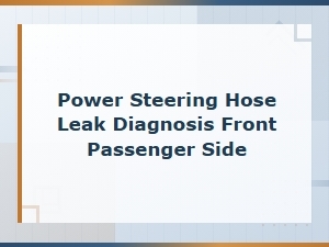 Diagnosing Front Passenger Side Power Steering Hose Leak