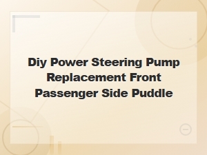 Diy Power Steering Pump Replacement Fix Front Passenger Side Puddle Leak